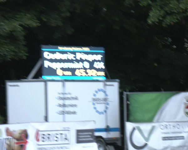 Reitturnier Arnsberg-Holzen 2025