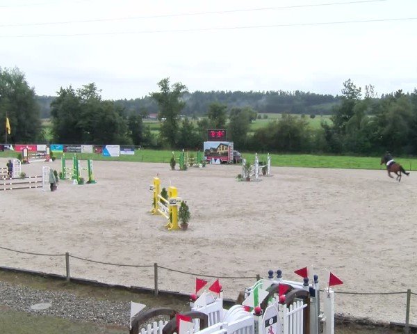 Reitturnier Gossau 2025