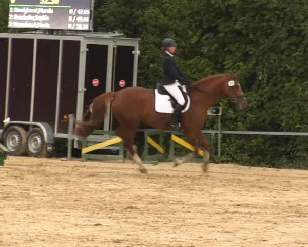 Sommerturnier Fröndenberg 2014