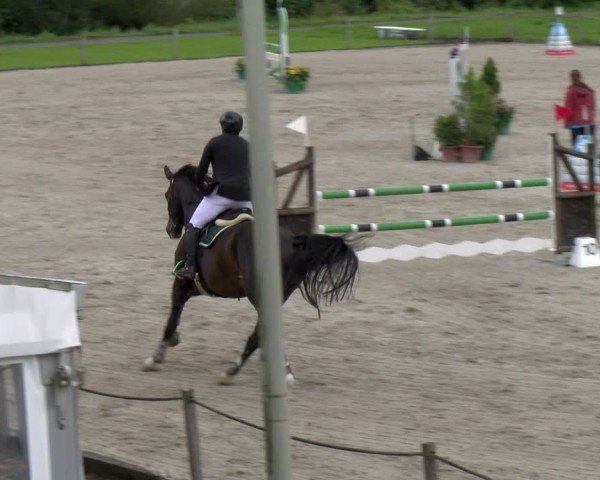 Reitturnier Gossau 2025