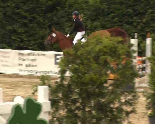 Sommerturnier Fröndenberg 2014