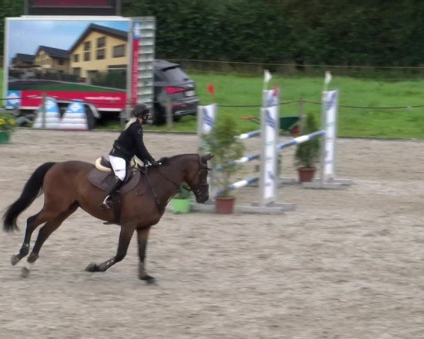Reitturnier Gossau 2025