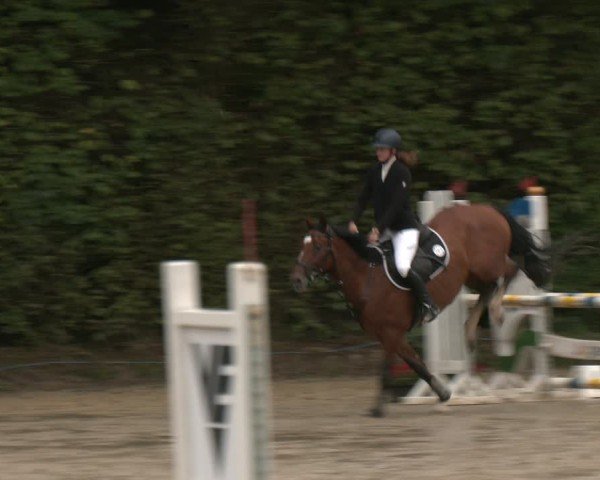 Reitturnier Arnsberg-Holzen 2025