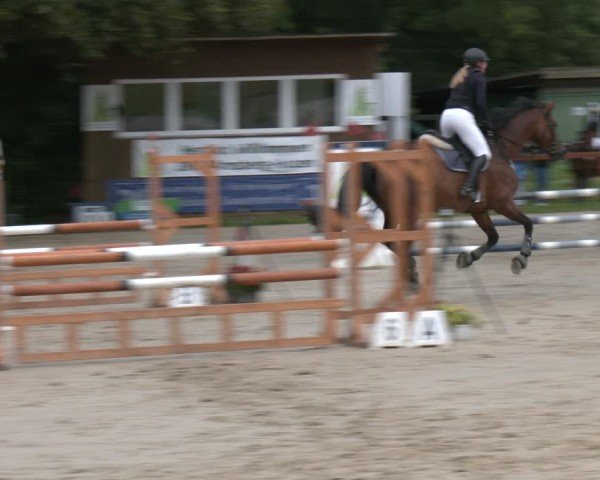 Reitturnier Arnsberg-Holzen 2025