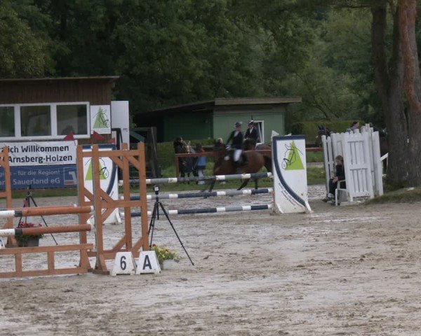 Reitturnier Arnsberg-Holzen 2025