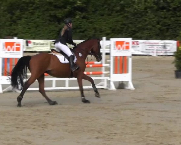 Sommerturnier Fröndenberg 2014