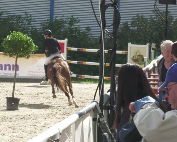 Reitturnier Jagstzell 2025