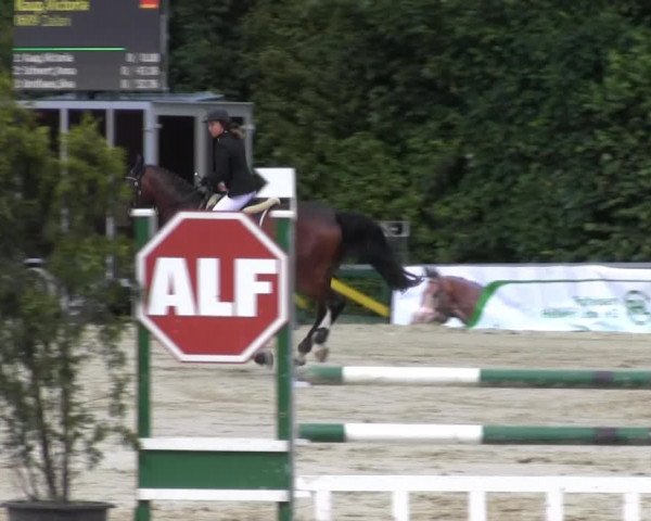 Sommerturnier Fröndenberg 2014