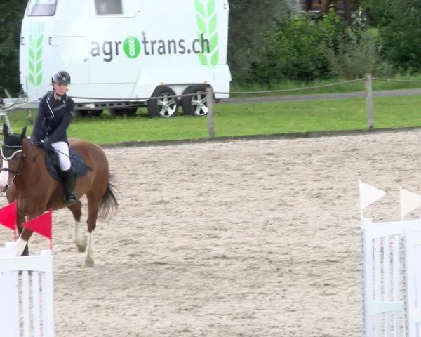 Reitturnier Gossau 2025