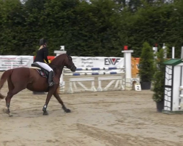 Sommerturnier Fröndenberg 2014