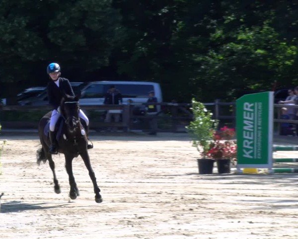 Reitturnier Stadtlohn 2025