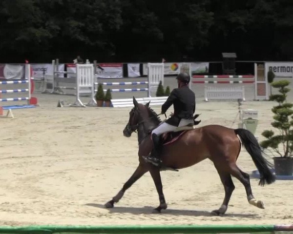 Drei Länder Challenge 2014