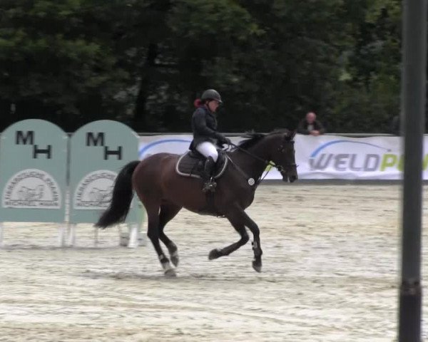 Drei Länder Challenge 2014