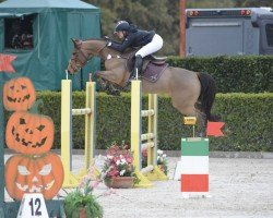Springpferd Desibel D'Brimbelles (Französisches Pony, 2013, von Tricky Choice du Pena)