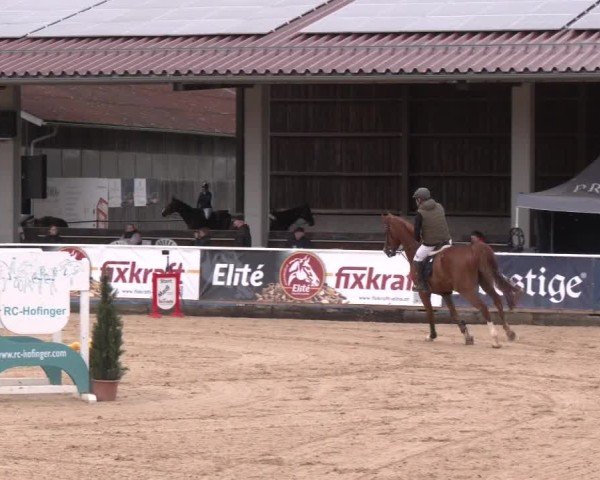 Reitturnier Ranshofen - Braunau am Inn 2025