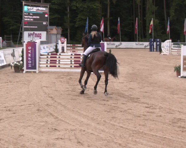 Reitturnier Ranshofen - Braunau am Inn 2025