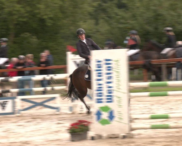 Reitturnier Arnsberg-Holzen 2025