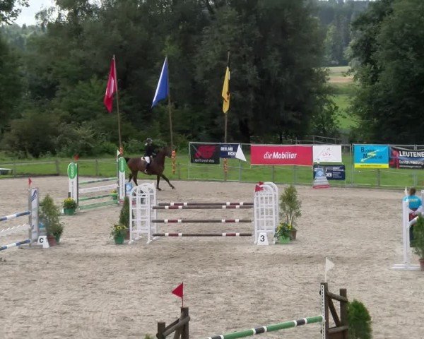 Reitturnier Gossau 2025