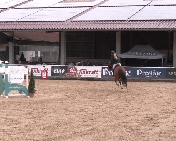 Reitturnier Ranshofen - Braunau am Inn 2025