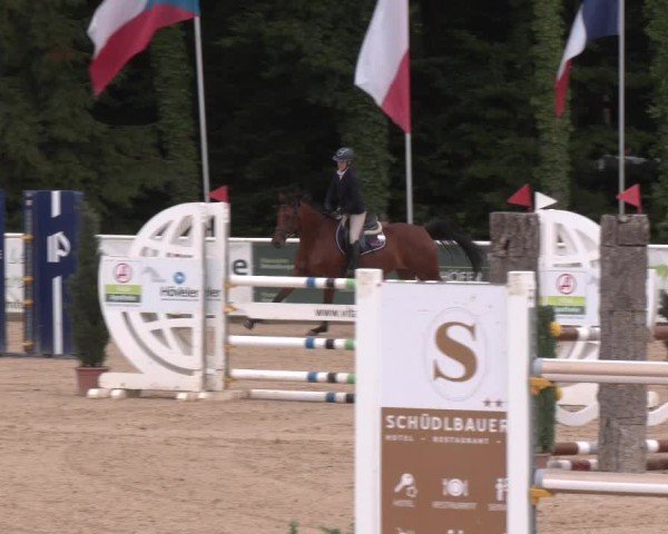 Reitturnier Ranshofen - Braunau am Inn 2025