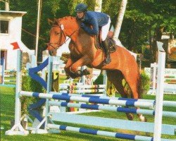 jumper Ischu Iberio (Hanoverian, 2008, from Iberio)