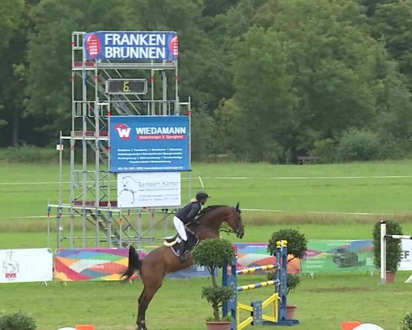 Reitturnier Bad Kissingen/Ufr. 2025