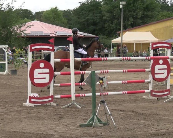 Reitturnier Altlandsberg 2025
