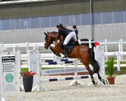 jumper Santana 761 (Pony without race description, 2006)