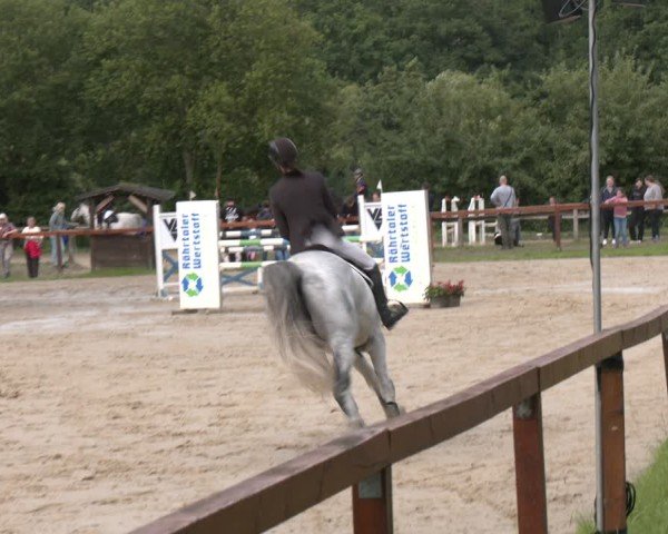 Reitturnier Arnsberg-Holzen 2025