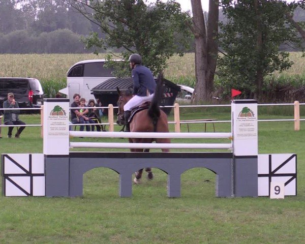 Reitturnier Gollenberg OT Stölln 2025