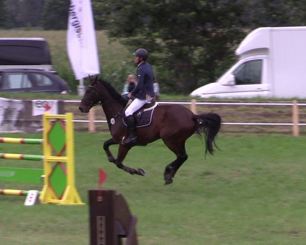 Reitturnier Gollenberg OT Stölln 2025