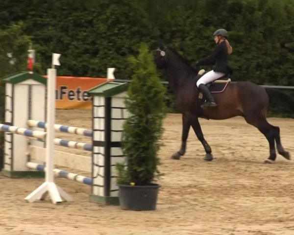 Sommerturnier Fröndenberg 2014