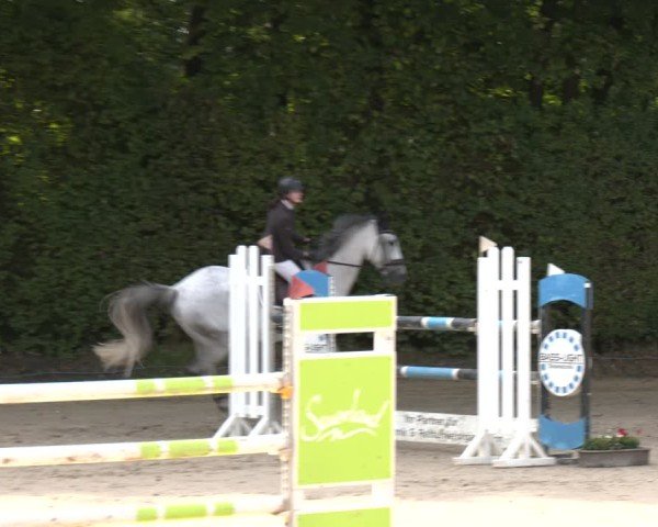Reitturnier Arnsberg-Holzen 2025