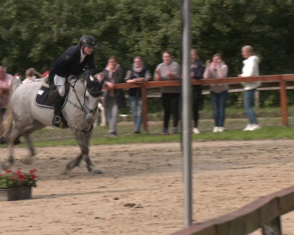 Reitturnier Arnsberg-Holzen 2025