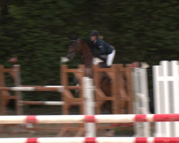 Reitturnier Arnsberg-Holzen 2025