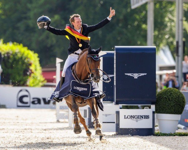 stallion Drako de Maugre (Selle Français, 2013, from Kannan)