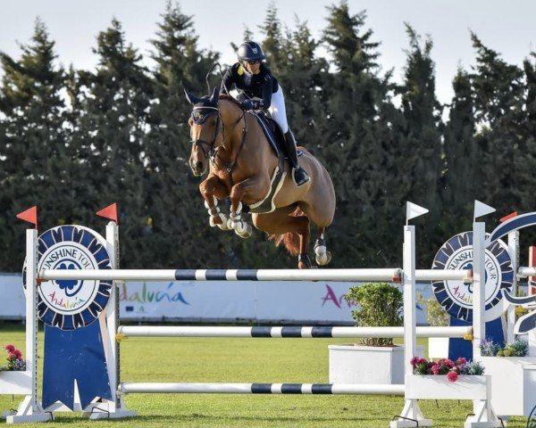 Jumper Bg Utopie (Westphalian, 2015, from Chancenreich 2)
