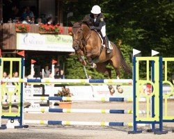 jumper BIG CENTAIRE (Oldenburg show jumper, 2018, from Big Star)