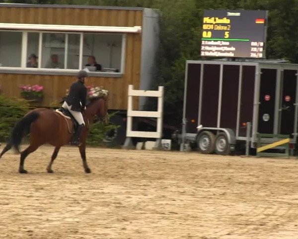 Sommerturnier Fröndenberg 2014