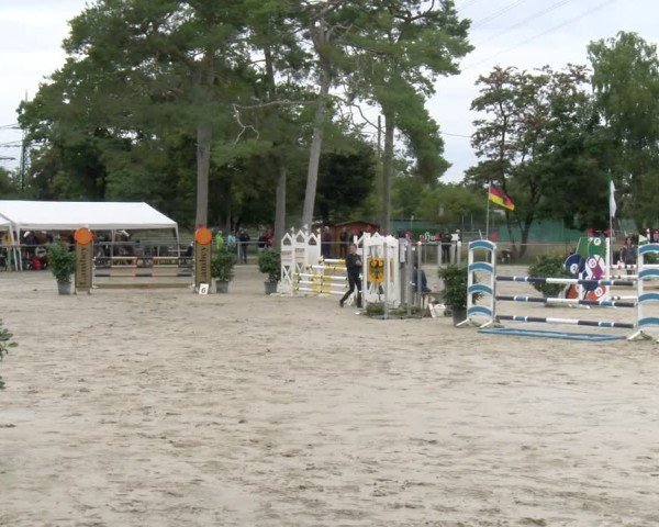 Reitturnier Mannheim-Friedrichsfeld 2025