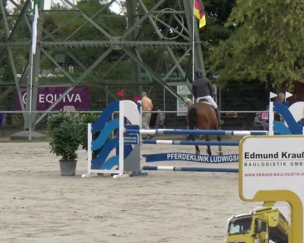 Reitturnier Mannheim-Friedrichsfeld 2025