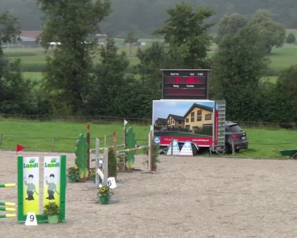 Reitturnier Gossau 2025