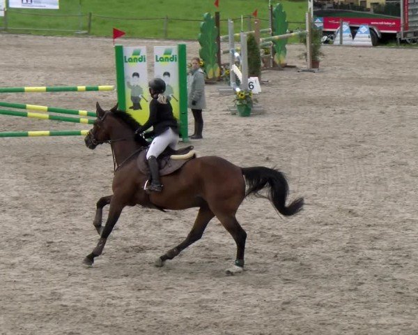 Reitturnier Gossau 2025