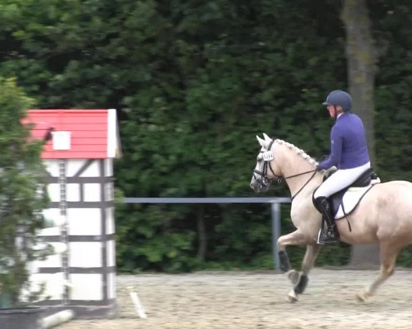 Sommerturnier Fröndenberg 2014