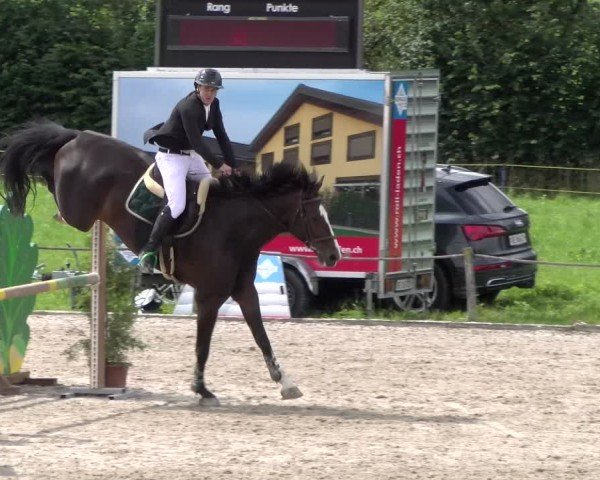 Reitturnier Gossau 2025