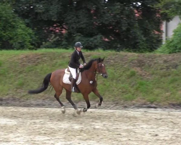 Sommerturnier Fröndenberg 2014