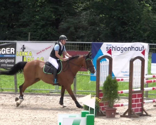 Reitturnier Gossau 2025