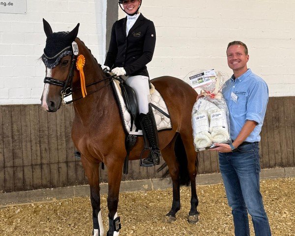 dressage horse Lanaiza (Hanoverian, 2017, from Lissaro)