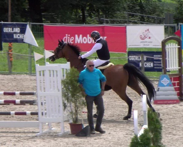 Reitturnier Gossau 2025