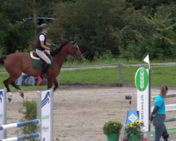 Reitturnier Gossau 2025